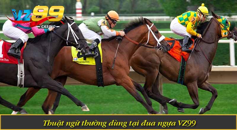 Đua Ngựa VZ99 – Tìm Hiểu Các Thuật Ngữ Quan Trọng Trong Game 5 Thuật ngữ thường dùng tại đua ngựa VZ99