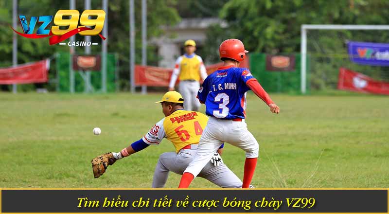 Cược Bóng Chày VZ99 – Sân Chơi Cá Cược Thể Thao Hấp Dẫn 4 Tìm hiểu chi tiết về cược bóng chày VZ99