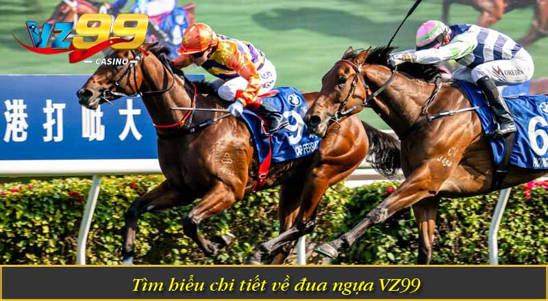Đua Ngựa VZ99 – Tìm Hiểu Các Thuật Ngữ Quan Trọng Trong Game 4 Tìm hiểu chi tiết về đua ngựa VZ99